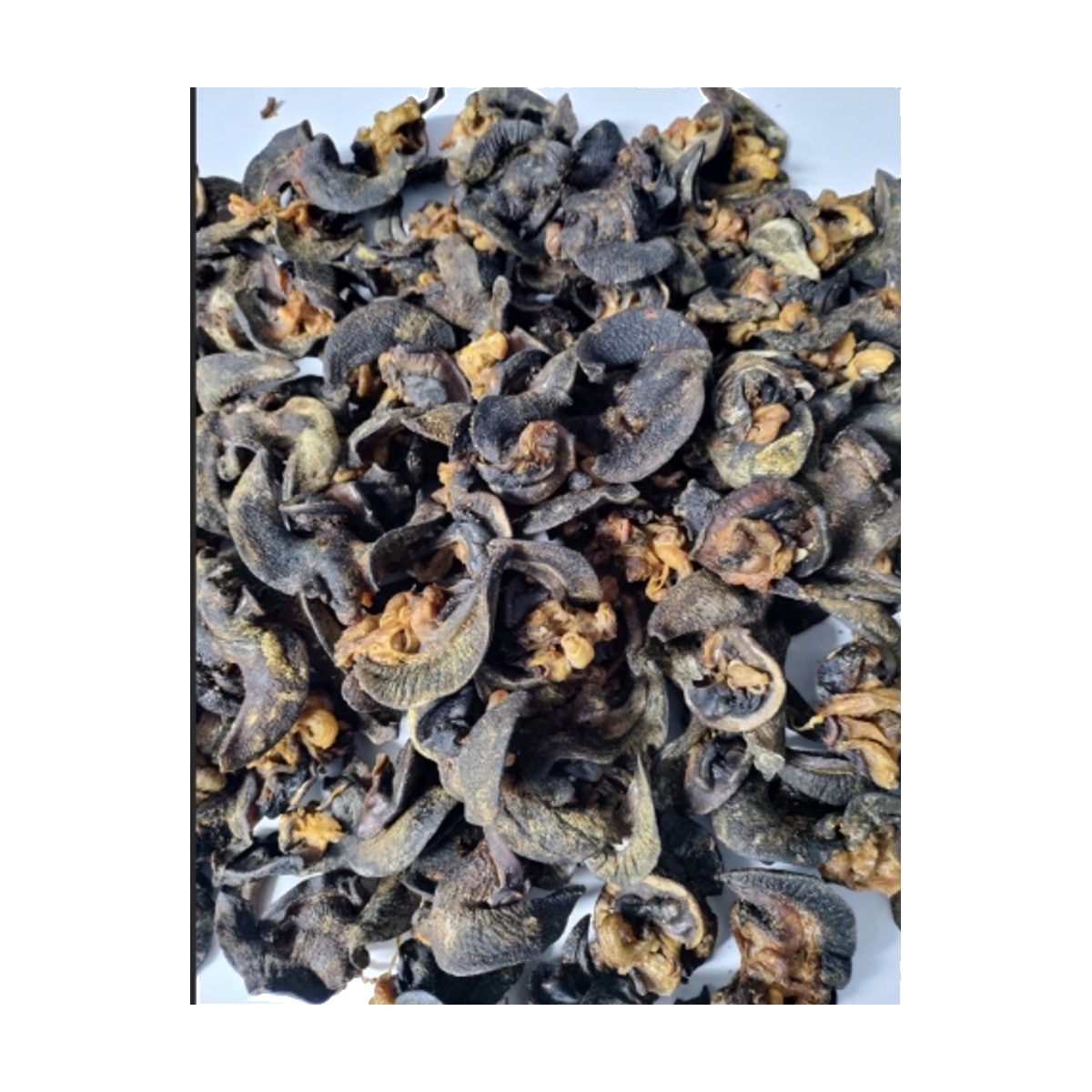 DRIED SNAIL - 14.99 PER LB